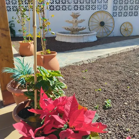 Casita דירה *
